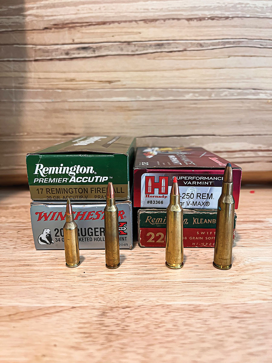 Cartridges for comparison left to right: 17 Remington Fireball 20-grain Accutip-V, 204 Ruger Winchester 34-grain Jacketed Hollow Point, 22-250 Remington 50-grain Superformance Varmint V-MAX, and 220 Remington Swift 48-grain Soft Point.